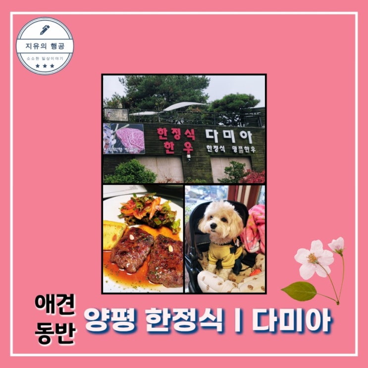  애견 동반 식당ㅣ한정식 다미아 - 양평 맛집, 모임하기 좋은곳 단독룸 내돈내산
