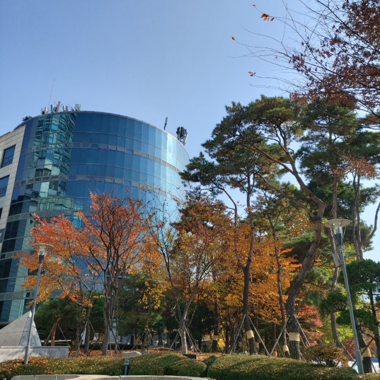  [Journal / 11월 11일~11월 18일의 일상] 조금만 더 힘을내자!