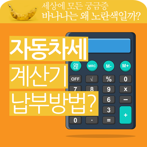 자동차세 계산기, 납부 기간 및 납부 방법을 알아볼게요! 자동차세 계산기, 납부 기간 및 납부 방법을 알아볼게요!