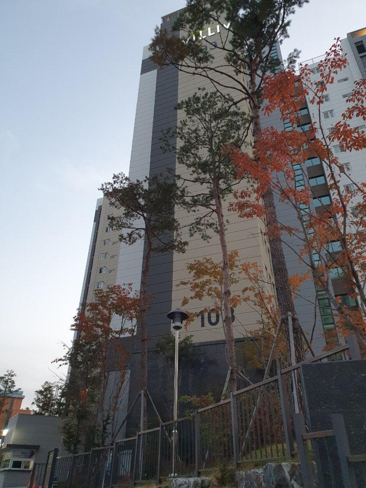  투자 대비 대구 수성구 범어동 임장
