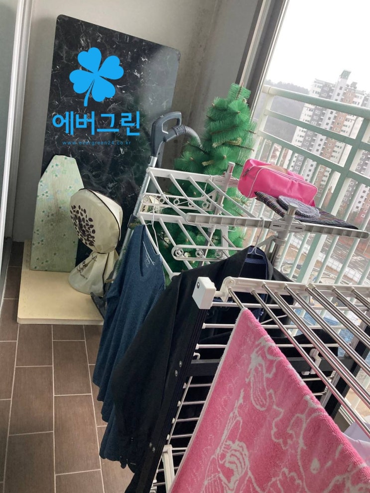 용인 반려견 청소 악취 탈취작업 및 종합 특수청소