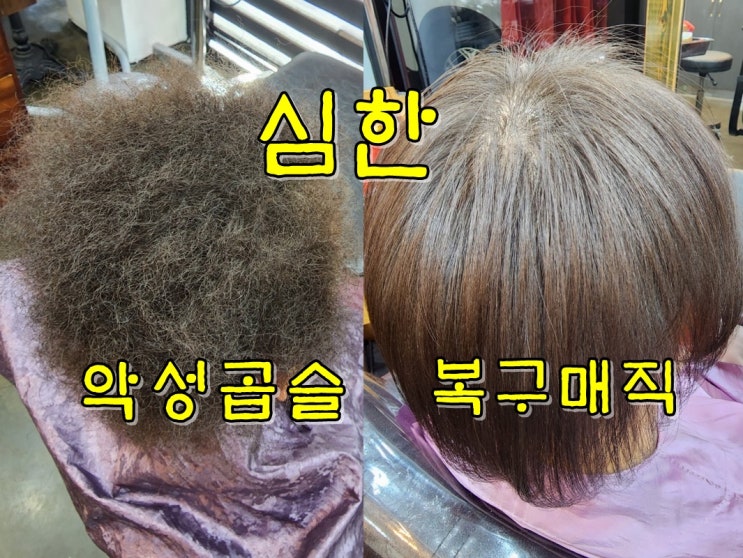  심한 악성곱슬머리 매직 진짜 잘하는곳 전주 마벨
