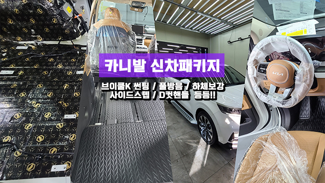  팀보가에서 카니발 신차패키지 업그레이드 끝!