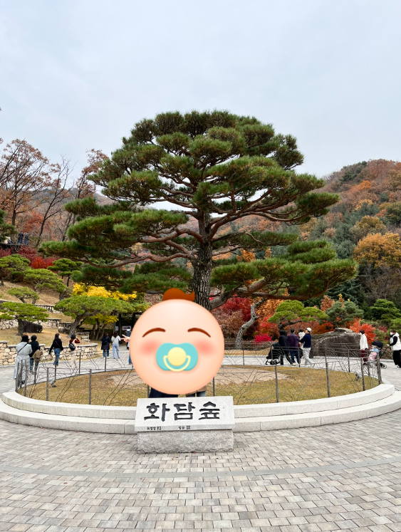  화담숲 가을단풍 / 가을여행 후기