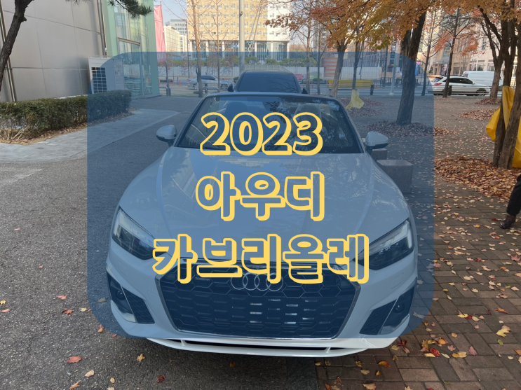  아우디 a5 카브리올레 리스 가격