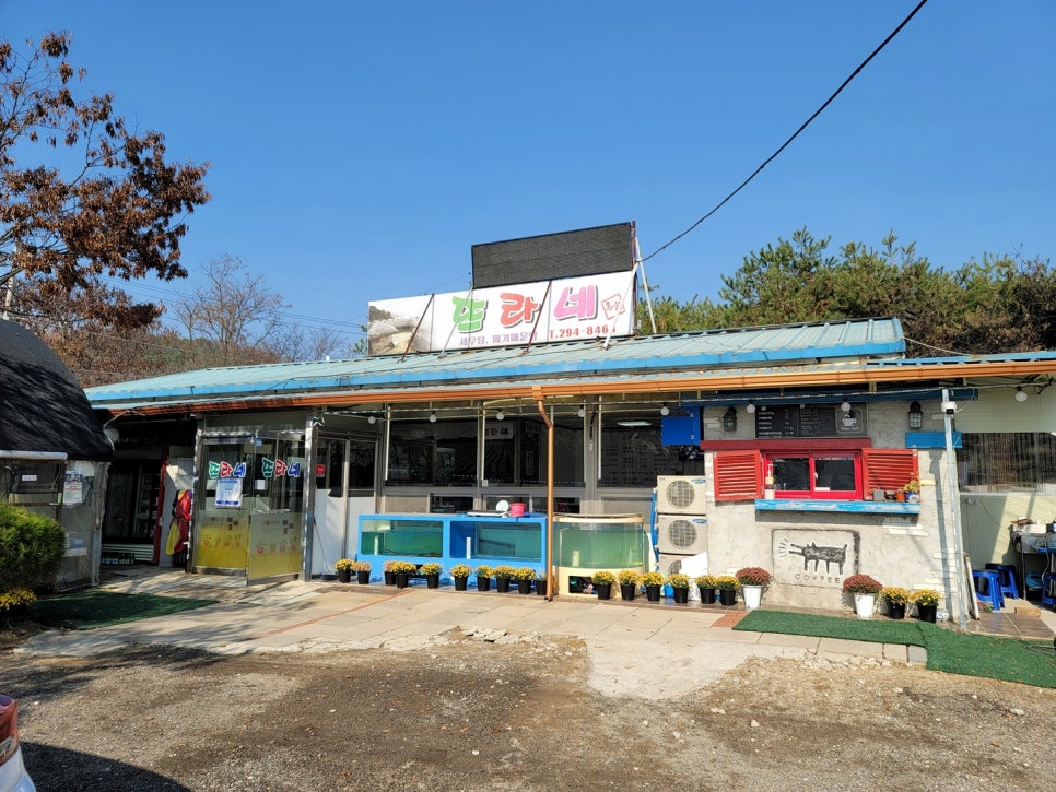 뜨라네명가 사진 1
