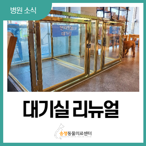  동물병원 전염성 질환 걱정 없이 안심하고 진료받을 수 있는 곳 - 반려동물 대기실 완비( 경기 광주 송정동물의료센터 )