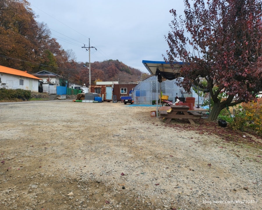 둔전골황소곱창 사진 4