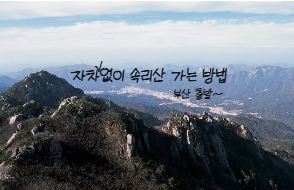  자차 없이 속리산 국립공원 떠나자!!// 속리산 가기 전 알아본 것 들