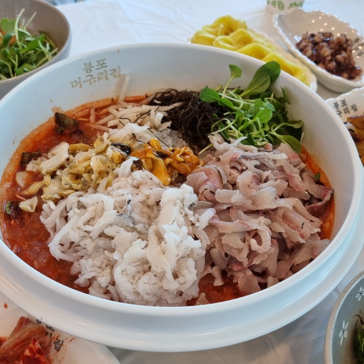  속초 물회 맛집 봉포머구리집
