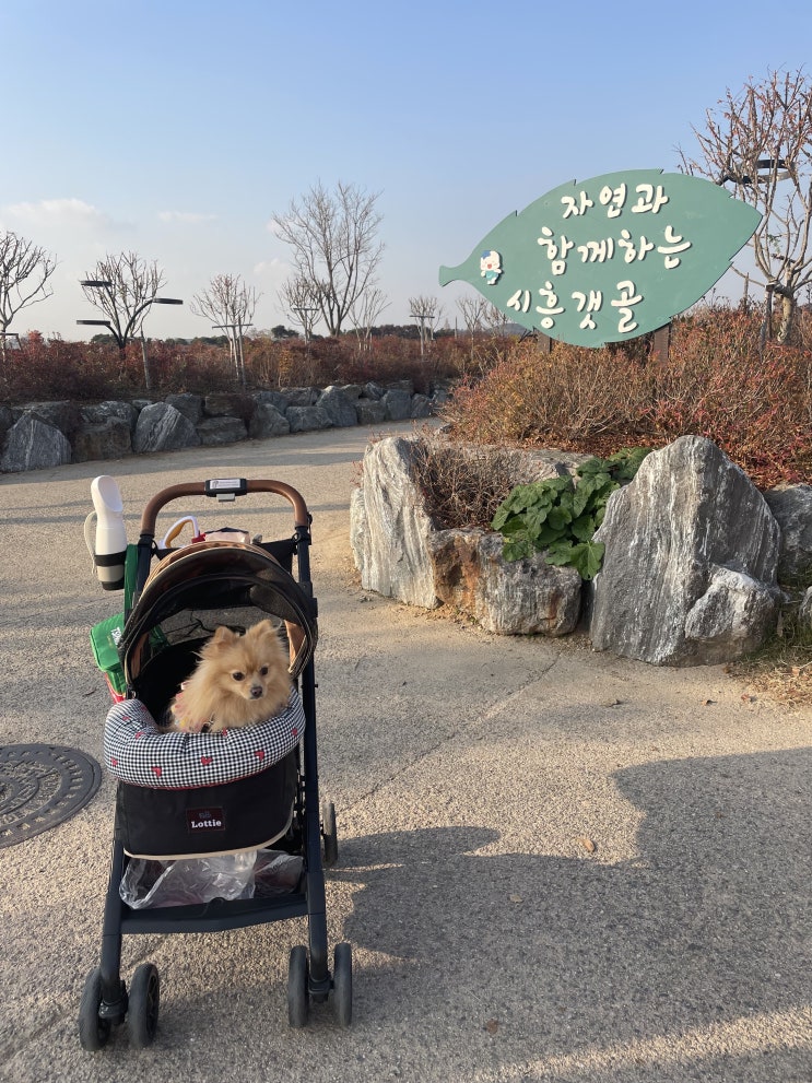 시흥 갯골생태공원 강아지동반여행 추천