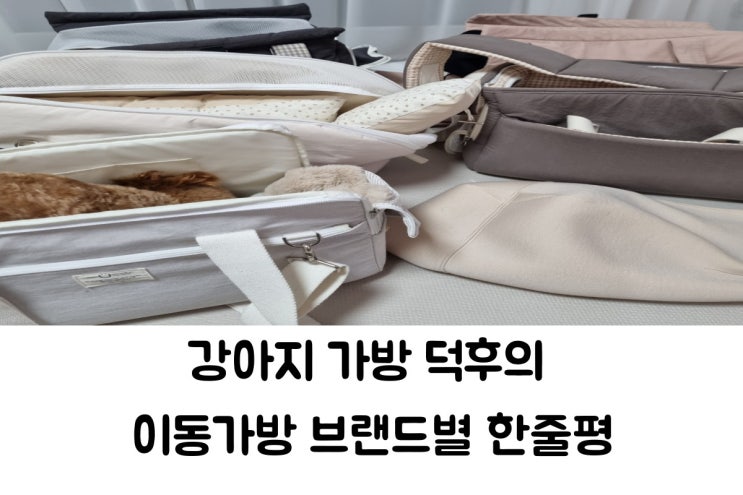  강아지 이동가방 한줄평