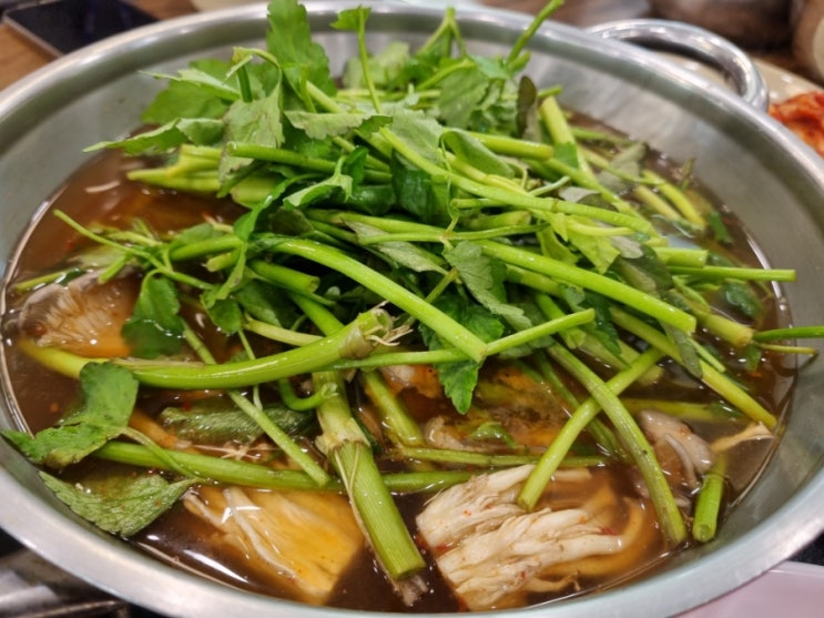  [분당] 금곡동 샤브샤브 맛집 얼크니 손칼국수