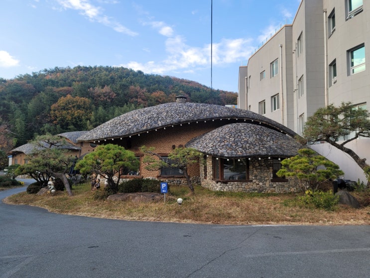  부산 만덕 하늘연달 스무아흐레 대형카페