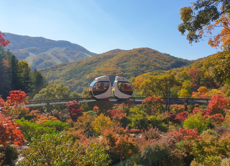  곤지암 단풍명소(화담숲)-2편