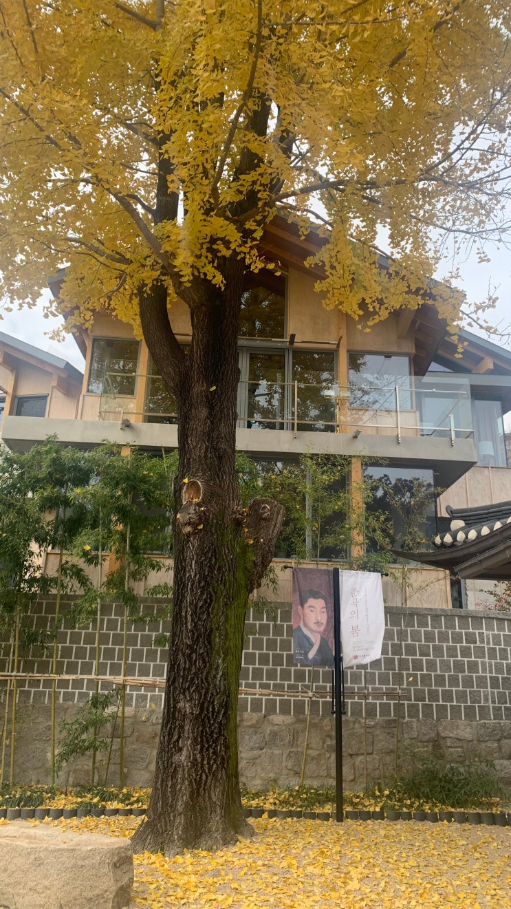 사진 예쁘게 나오는 곳, 계동 - 붐비지 않는 곳, 맛집/카페/갤러리/예쁜가게들 - 가을에 어디갈까? 고민될땐 계동으로! 사진 예쁘게 나오는 곳, 계동 - 붐비지 않는 곳, 맛집/카페/갤러리/예쁜가게들 - 가을에 어디갈까? 고민될땐 계동으로!