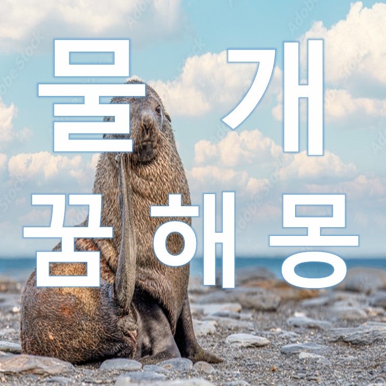 물개 나오는 꿈 유튜브에서 물개 나오는 걸 자주 보고 물개 꿈을