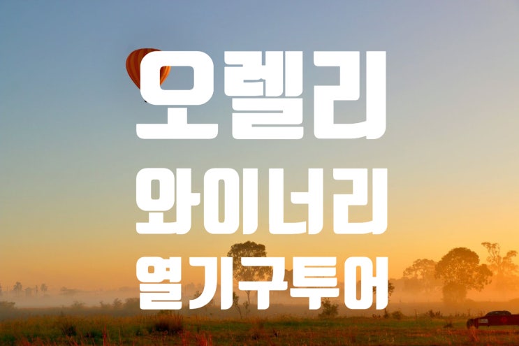  [호주여행/골드코스트여행/브리즈번여행] 오렐리와이너리 열기구투어