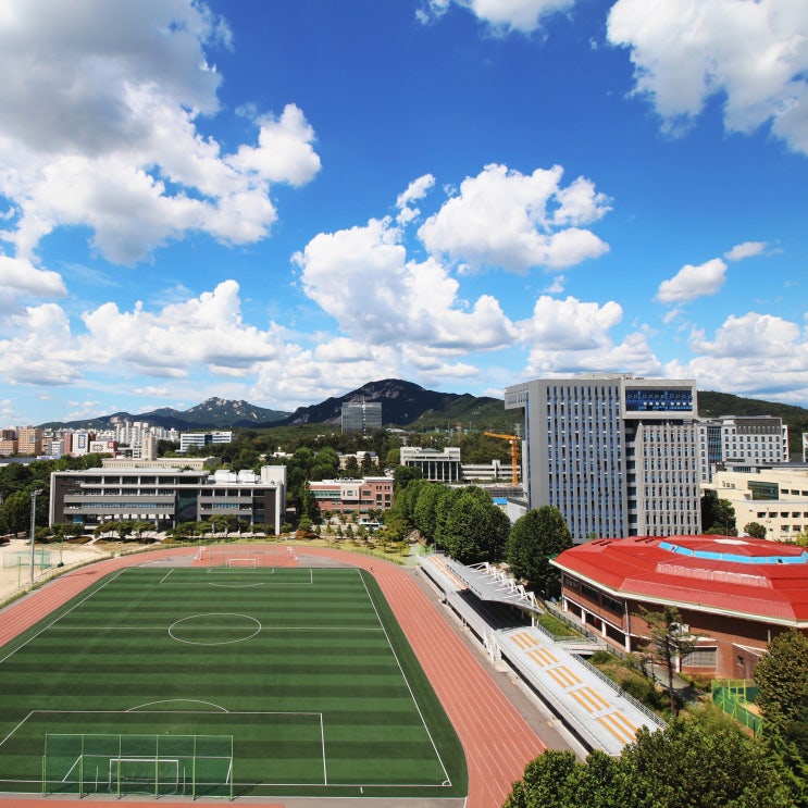 전국 전문대 여대 목록 (배화여자대학교 숭의여자대학교 한양여자대학교 등) 전국 전문대 여대 목록 (배화여자대학교 숭의여자대학교 한양여자대학교 등)