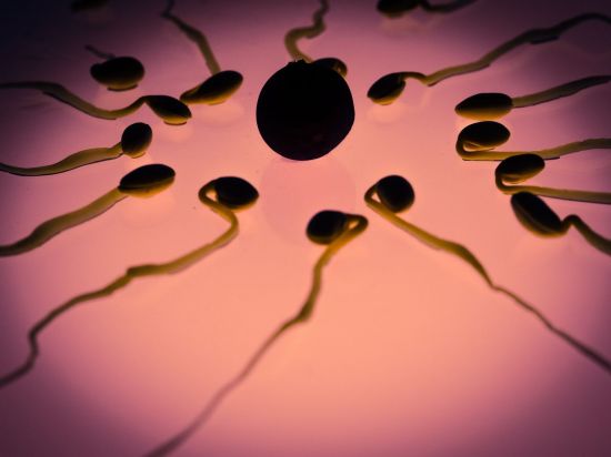 지구촌 남성 정자 수 60% 줄었다 … “인류 생식 위기” 경고 지구촌 남성 정자 수 60% 줄었다 … “인류 생식 위기” 경고