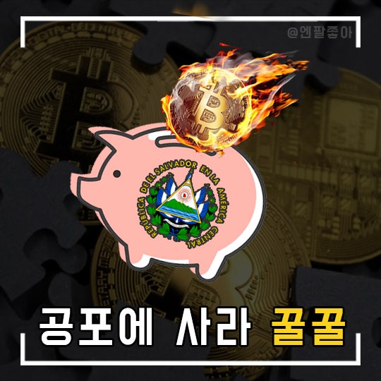  FTX 사태에도 매일 비트코인 1개씩 사는 국가가 있다?
