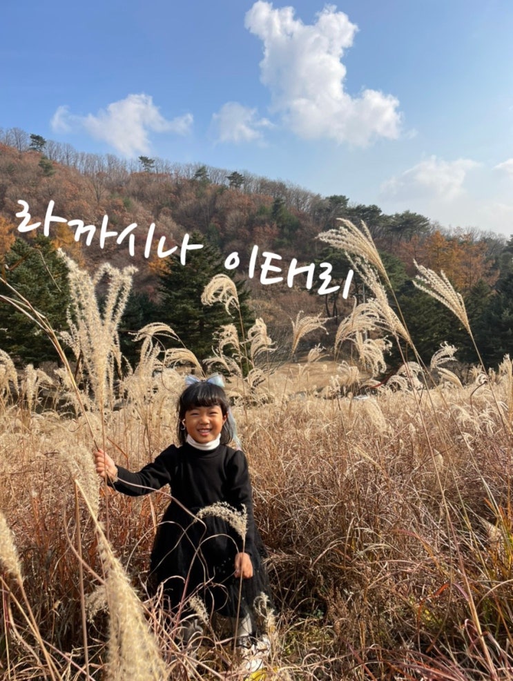  서울근교 아이랑 갈만한 당일 감성캠크닉 카페 내돈내산 후기 ️라까시나 이태리