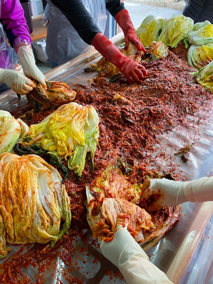 이번주 맛도리는 김장김치~