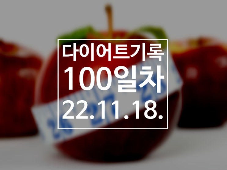[다이어트기록DAY100] 다이어트 100일 후기~!