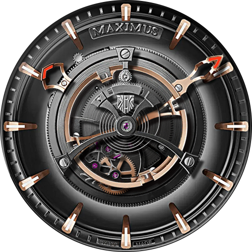  케르베단즈 막시무스 뚜루비옹 타이타늄 Kerbedanz Maximus Tourbillon Titanium 워치페이스 공유