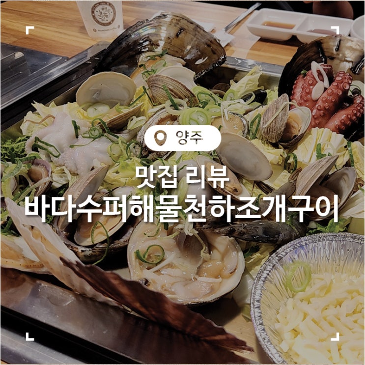  양주 백섭읍 맛집 조개찜 해물천하 조개구이