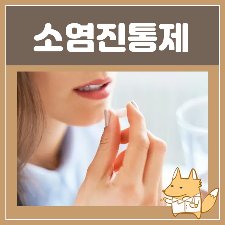  소염진통제 술 괜찮을까? 펠루비 록소닌정 펜스톱 효능 알아보자