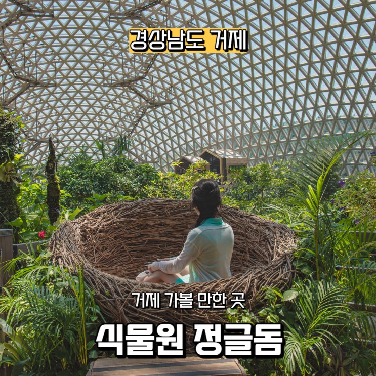  경상남도 거제 가볼 만한 곳, 식물원 정글돔 & 정글타워
