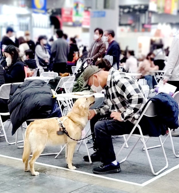  케이펫페어 일산, 강아지 동반 박람회 관람 사진 후기(주차정보)