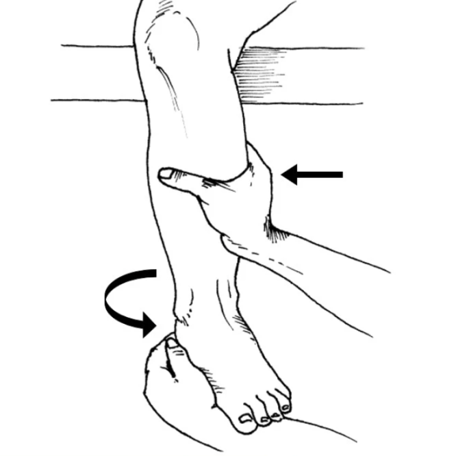 Kleiger’s test(external rotation test)/ 클레이거 검사/경비간인대, syndesmosis 검사 ...