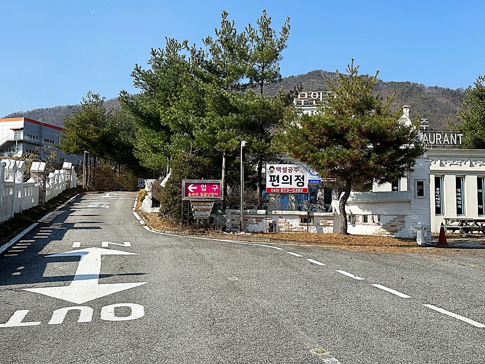 숲속의일곱난장이 사진 3