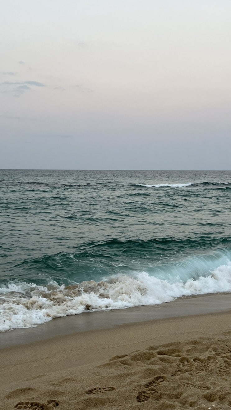  A trip down memory lane in Gangneung