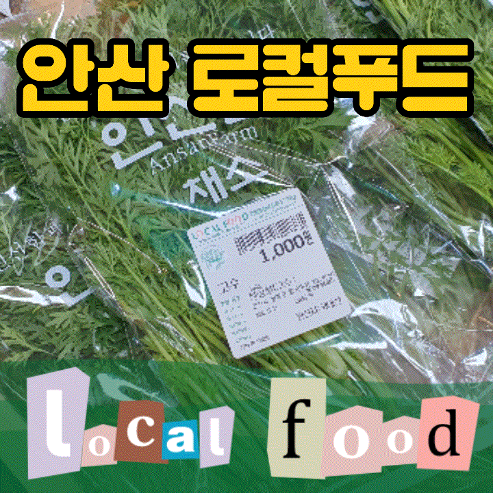  안산로컬푸드 싸고 싱싱한 채소들 직접 확인해 보세요.