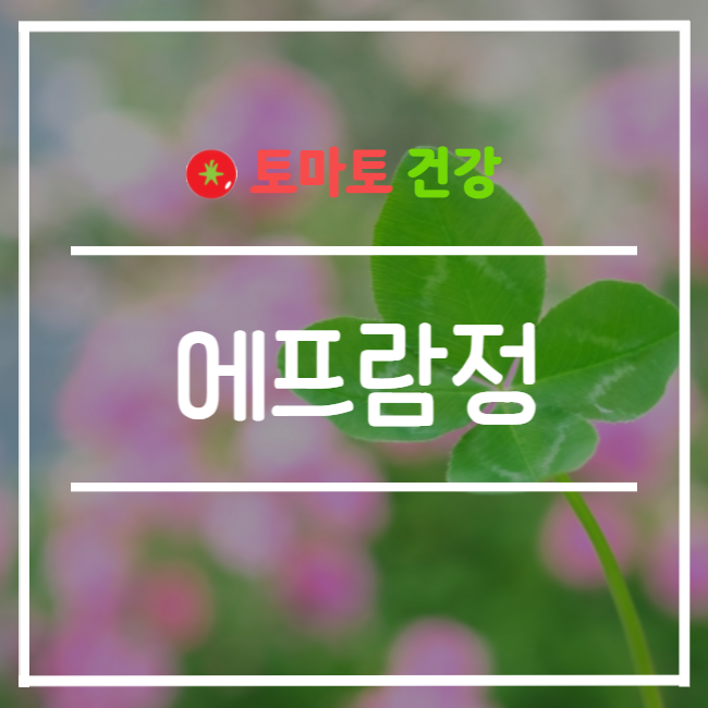  에프람정 10mg 체중증가 및 우울증 개선 여부