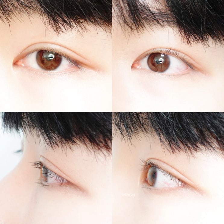  뷰러추천 라네즈 아이래시 컬러 아티스트뷰러 리뷰
