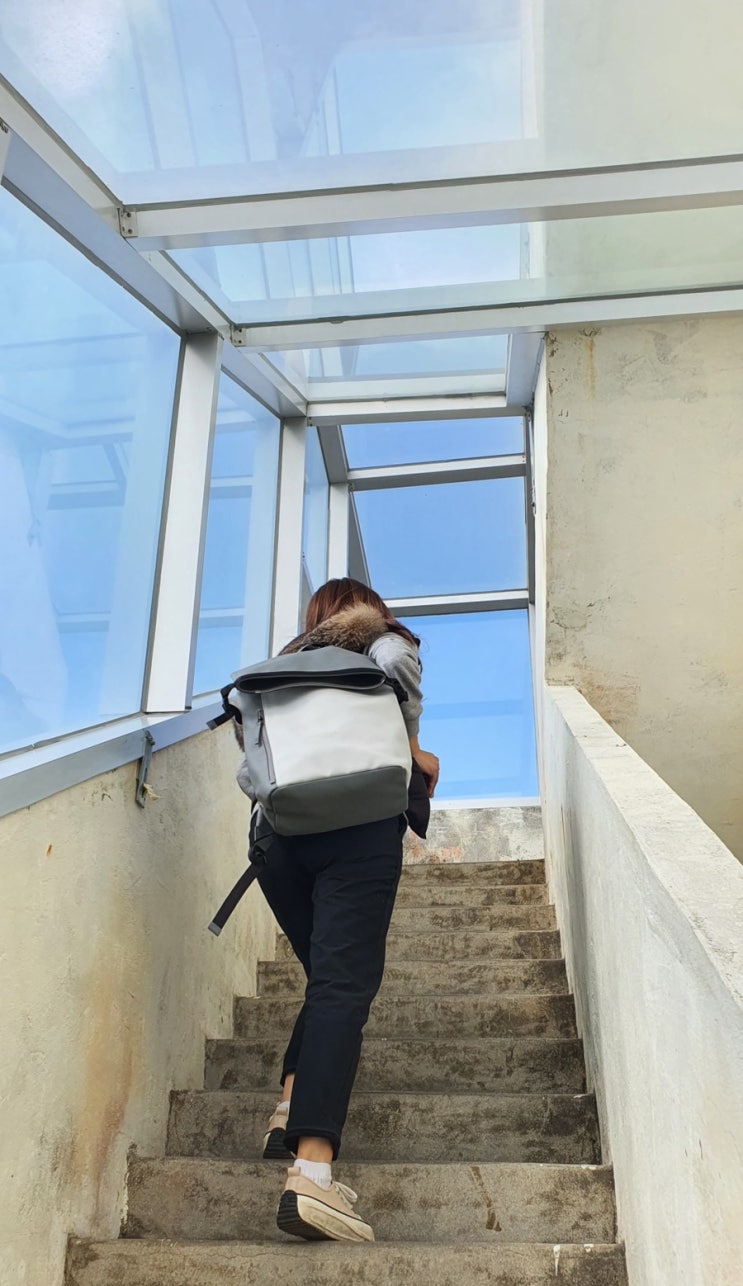  가스톤루가 블랙프라이데이 세일로 득템했어요