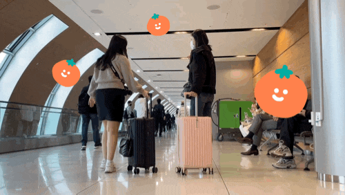  11월 제주도여행 날씨 정보 & 월정리맛집 배롱개 다녀온 후기