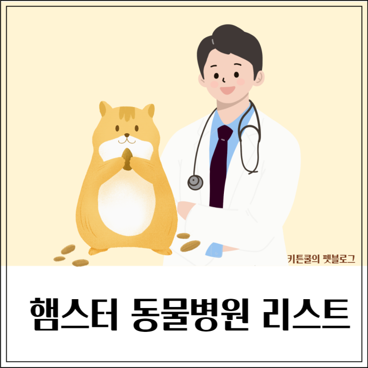  전국 햄스터 특수동물병원 리스트