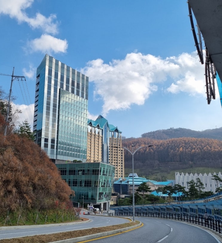  정선 [ 강원랜드 ]
