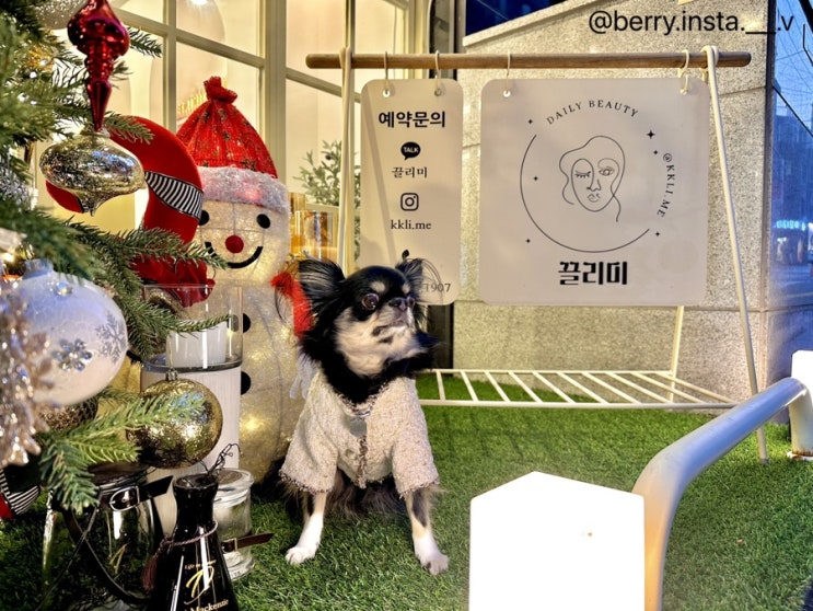  서울역삼동 반려견동반  끌리미 