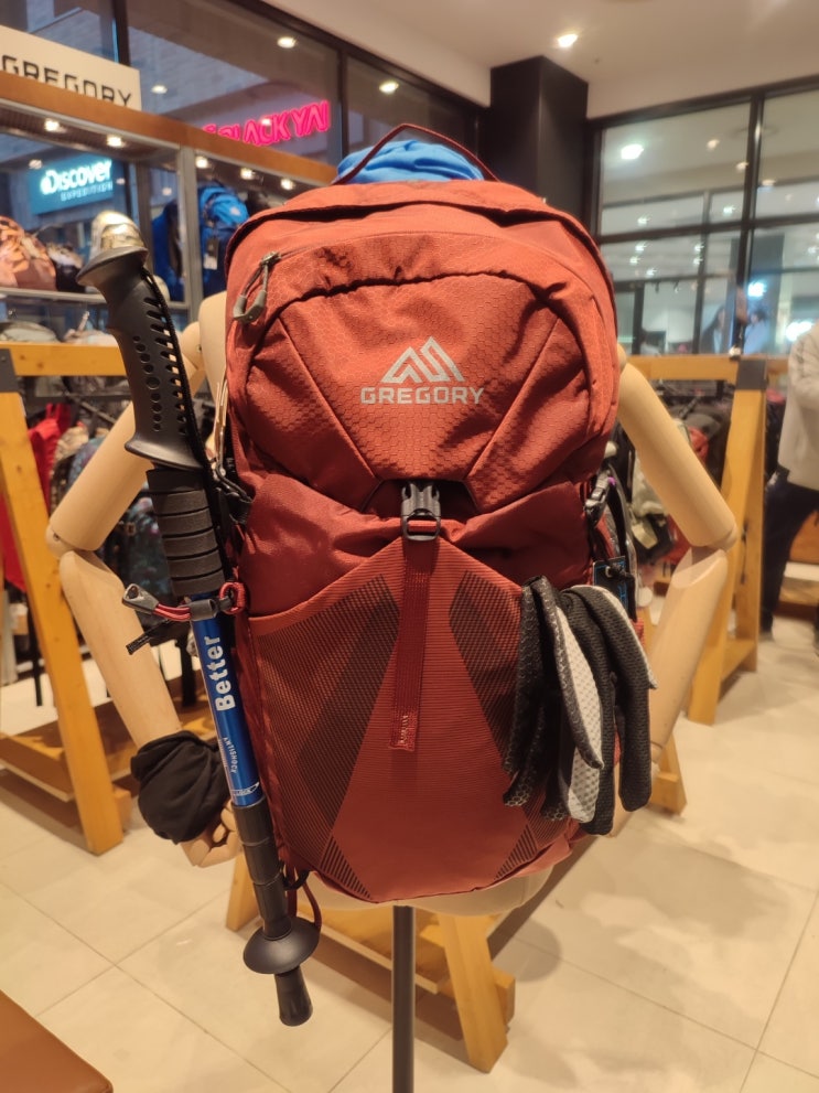 [그레고리]남성 배낭 시트로 24리터 BRICK RED AO510013