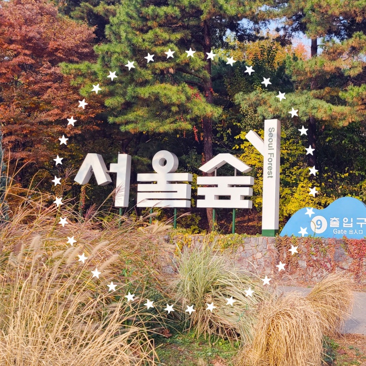 [뚝섬]도심속 숲을 가져오다 서울숲 산책하기