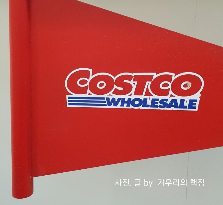  코스트코 양재점. 11월 시즌 제품 아이쇼핑, 김치냉장고/ 보이로 전기요 / 크리스마스 화초 /  LED 스탠드