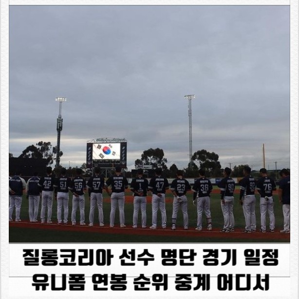 질롱코리아 선수 명단 경기 일정 유니폼 연봉 순위 중계 어디서