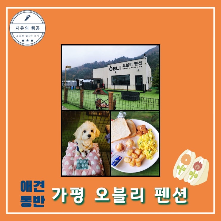  가평 추천 애견동반ㅣ오블리 펜션 - 5번방 개별 운동장과 조식 내돈내산