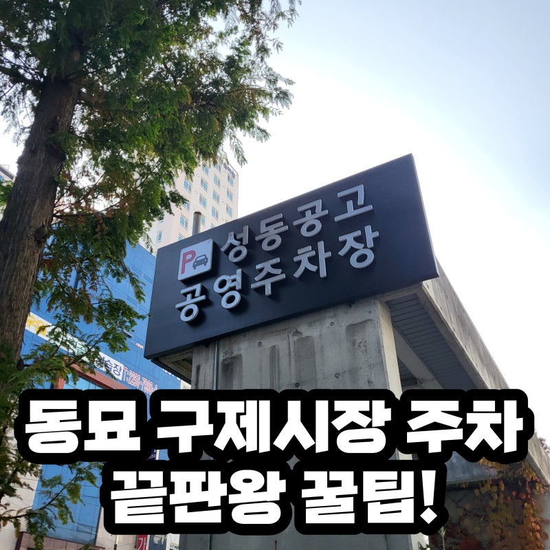 종로] 동묘 구제시장 방문 시 주차 걱정은 이제 그만! 주차 끝판왕 꿀팁으로 고민 단번에 해결! 세삼 서울에 이런 공영주차장이  있다고?! : 네이버 블로그